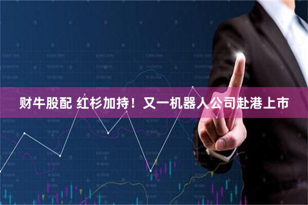 财牛股配 红杉加持！又一机器人公司赴港上市
